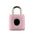 Travel Bag Locker Smart Anti-theft Fingerprint Padlock
